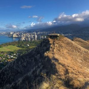 Meet your Posher, Dustin